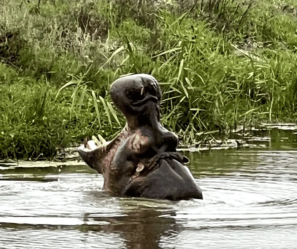 Юар. Тотальная перезагрузка. 11 дней гедонизма и Wow-эмоций. (32/64)