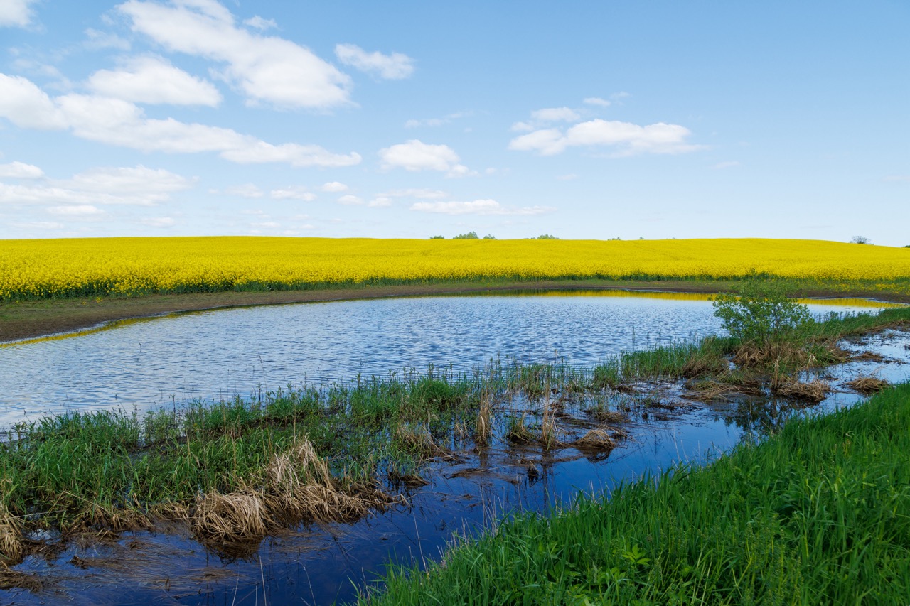Лесная велопрогулка к старой немецкой школе (3/10)