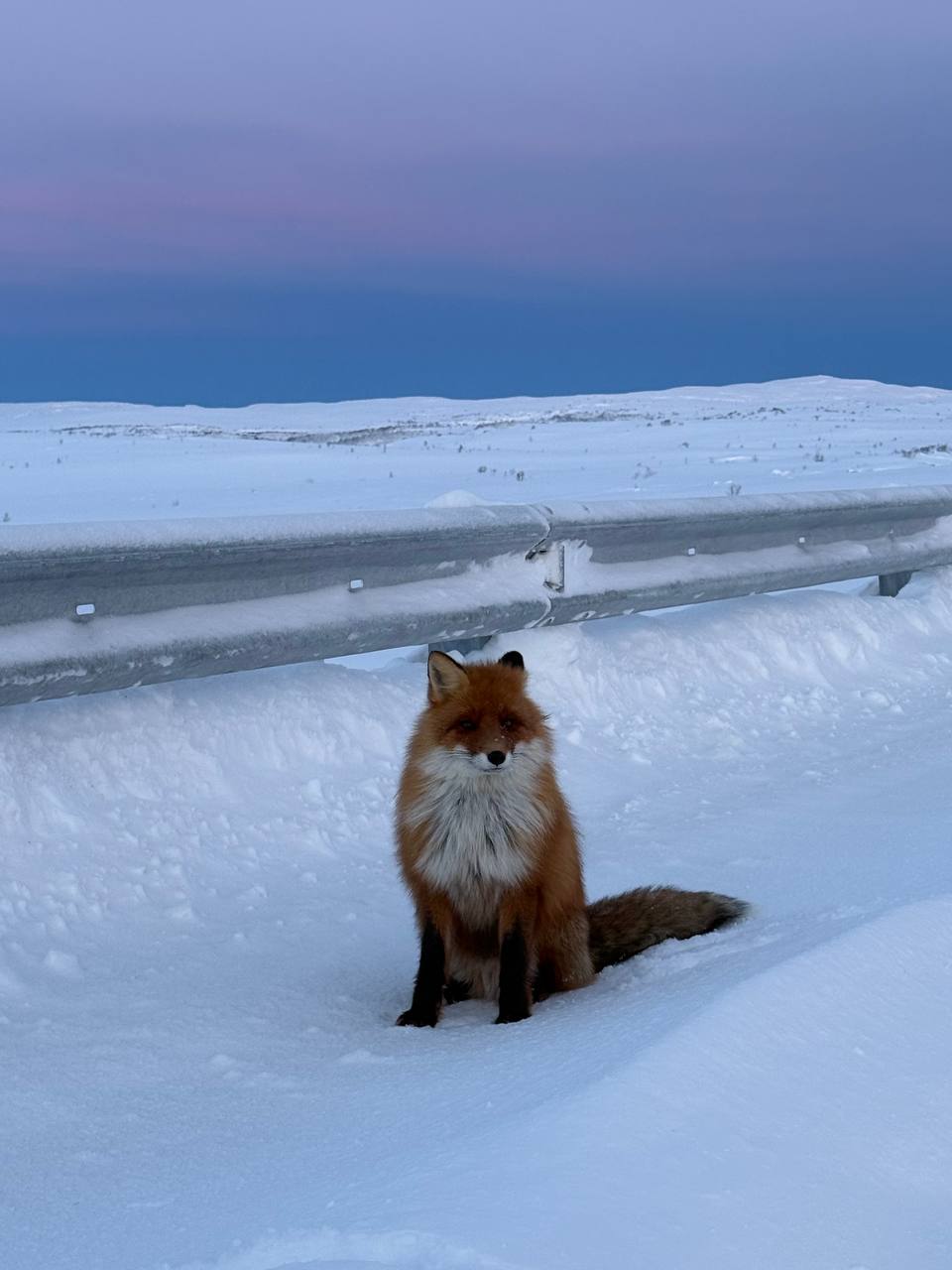 Однодневный тур в Териберку: сокровище Русского Севера (6/9)
