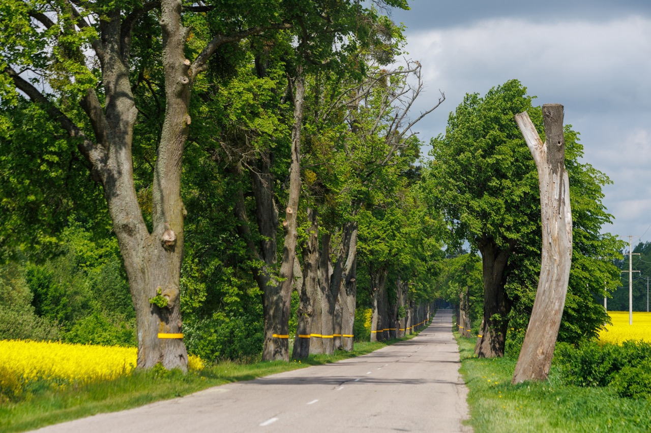 Велопрогулка вдоль границы c Польшей и Черняховск (4/10)