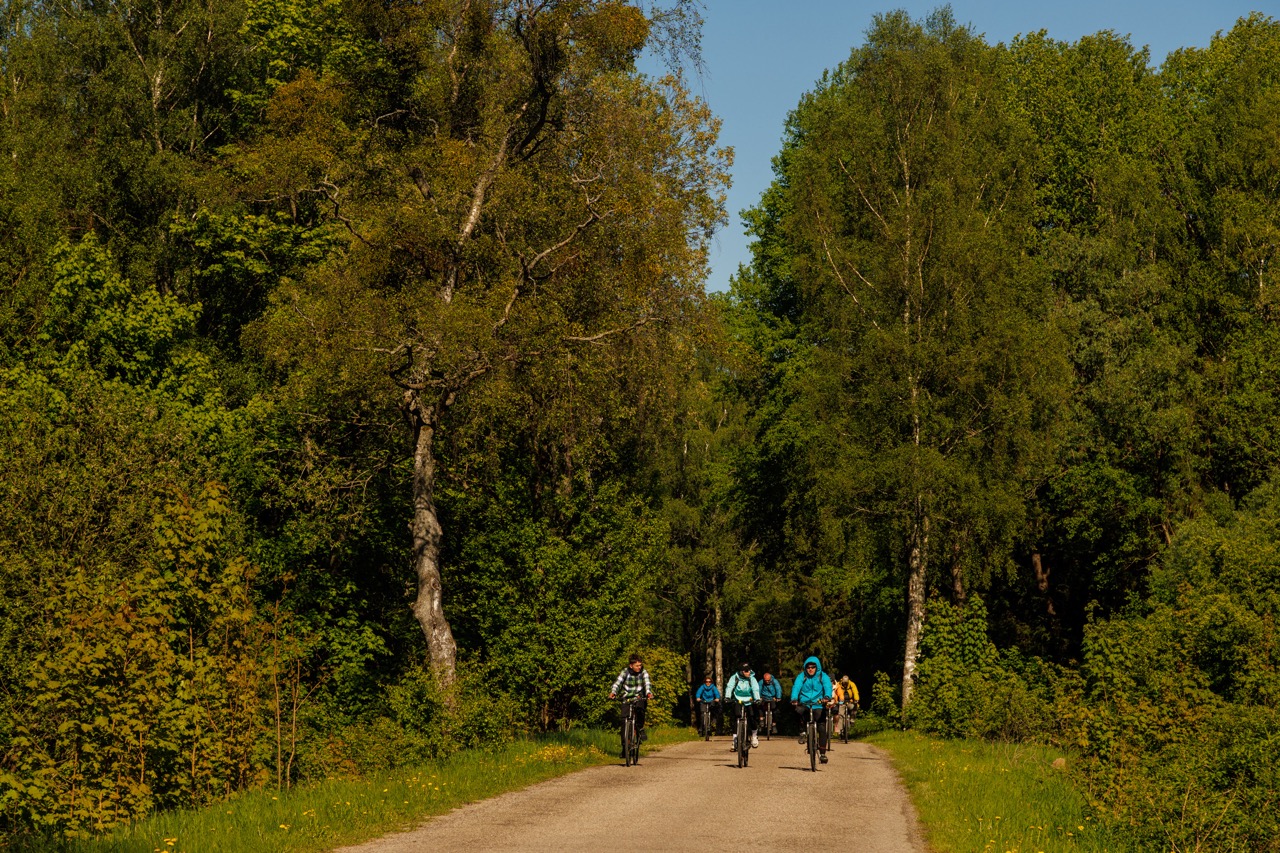 Велопрогулка в Национальном парке Виштынецкий (6/10)