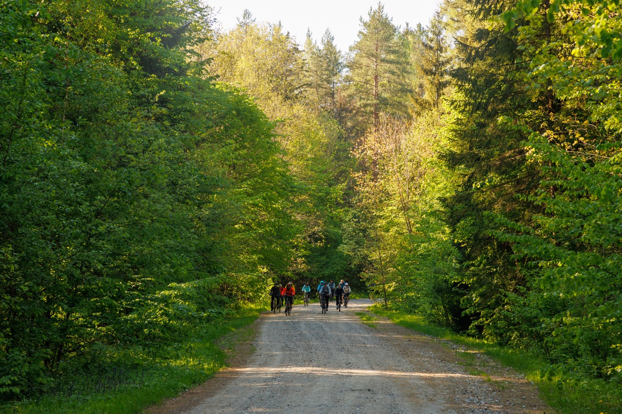 Лесная велопрогулка к старой немецкой школе (6/10)