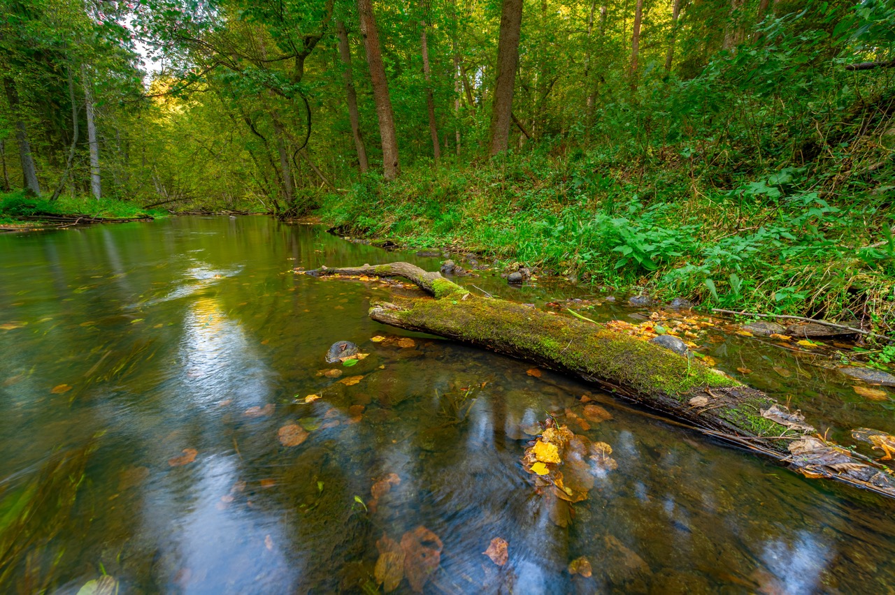 Велопрогулка в Национальном парке Виштынецкий (9/10)
