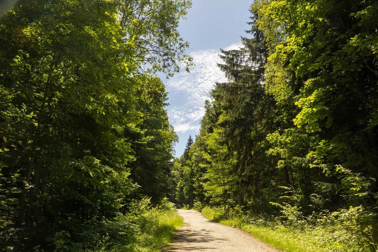 Велопрогулка в Национальном парке Виштынецкий (8/10)
