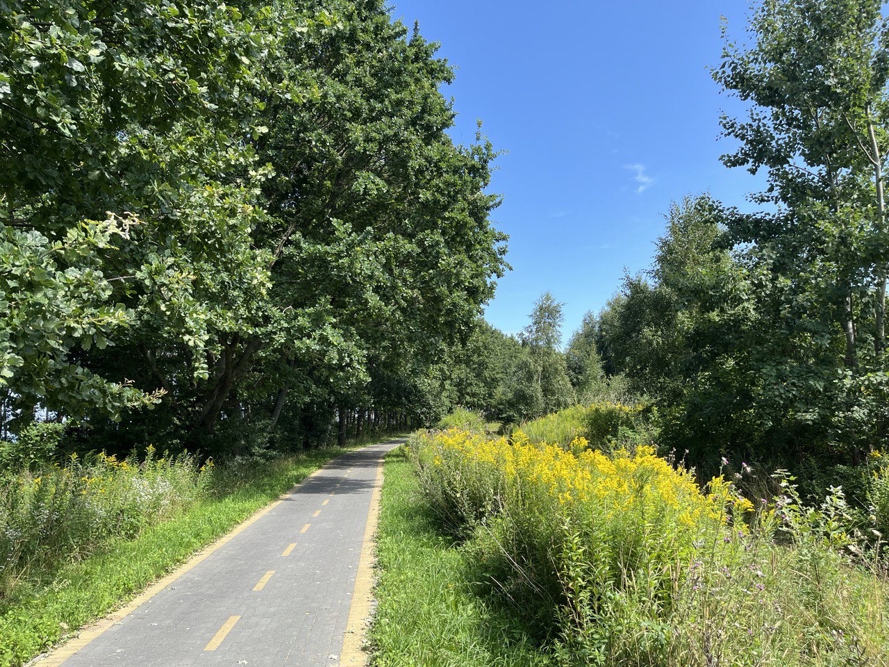 Велопрогулка вдоль Балтийского моря и Зеленоградск (5/9)