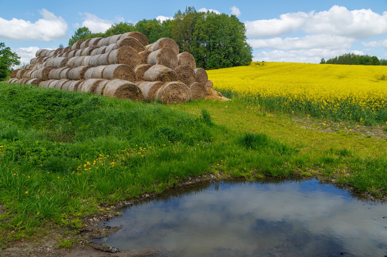Велопрогулка вдоль границы c Польшей и Черняховск (7/10)