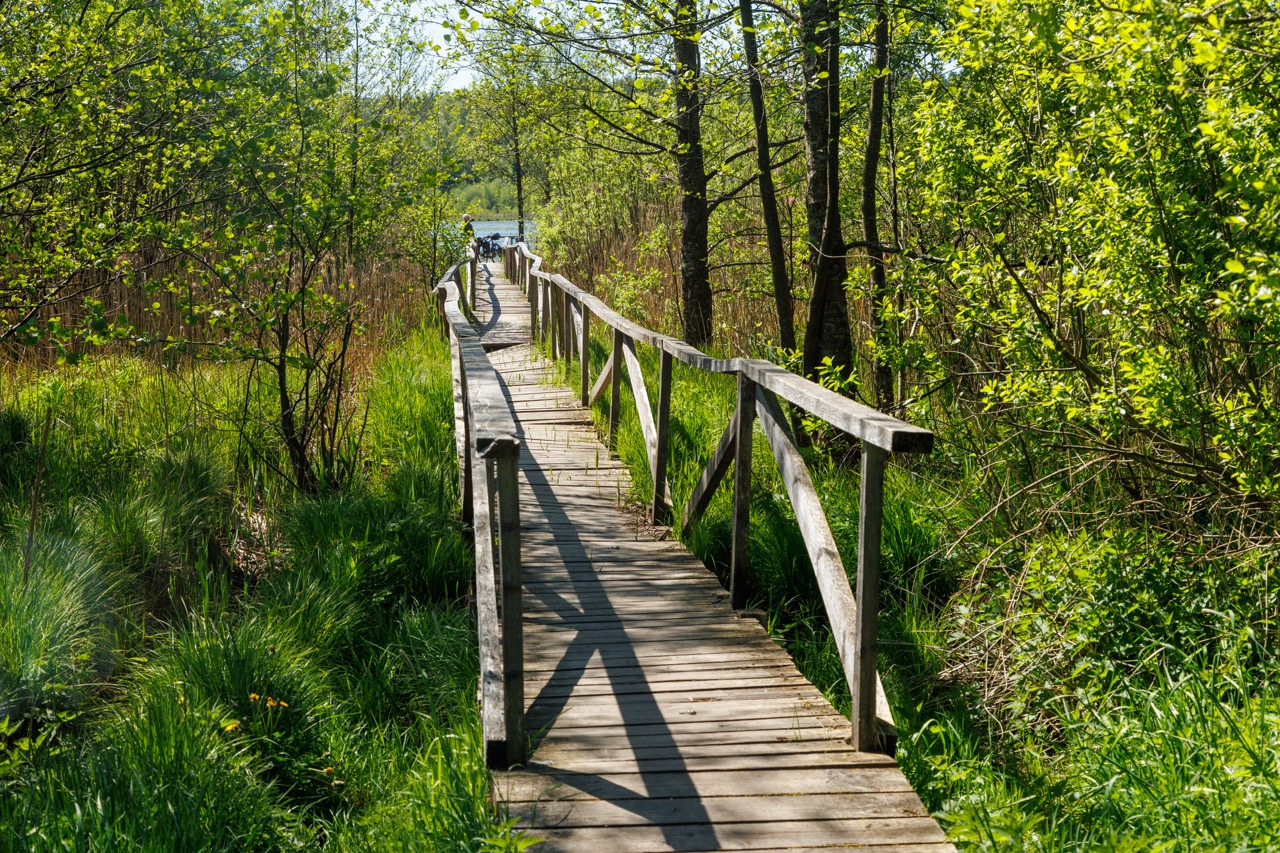 Велопрогулка в Национальном парке Виштынецкий (5/10)