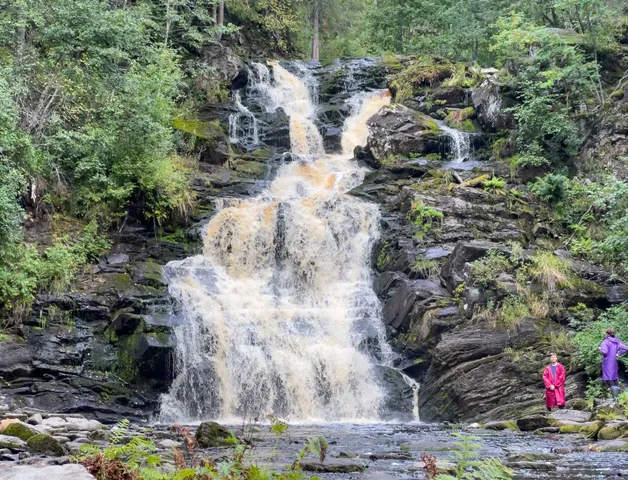 Перезагрузка: Топ места и Домики на берегу. Комфорт +