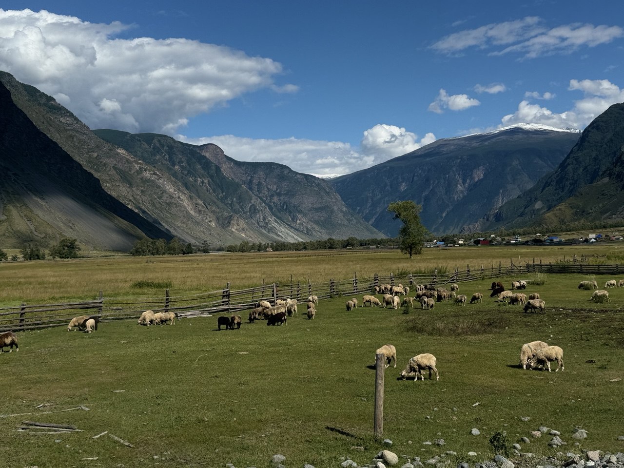 Золотое кольцо Алтая, 7 дней! Все включено, кроме перелета. (5/19)