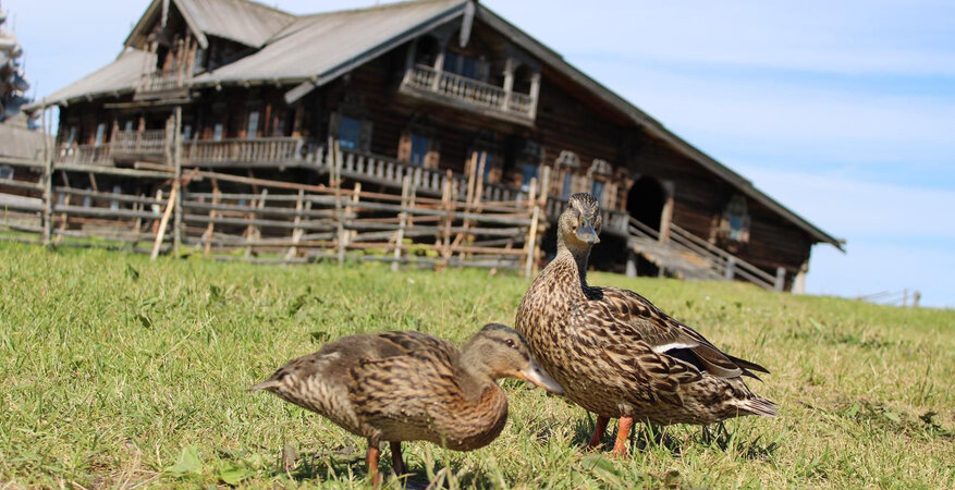 Сборный тур На 2 Дня В Карелию! (6/24)