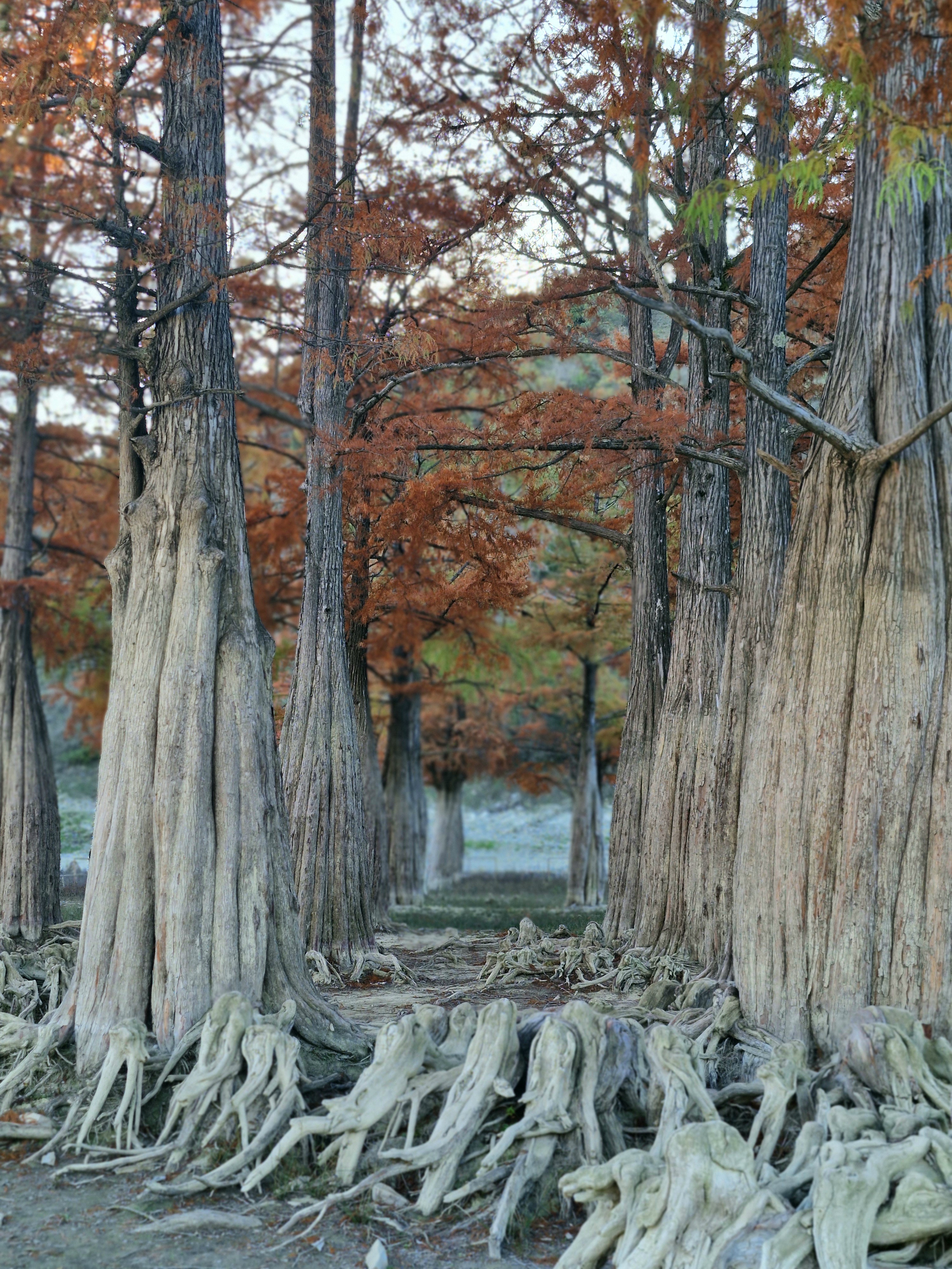 Анапа от моря до гор. Все лучшее за один день. (3/17)
