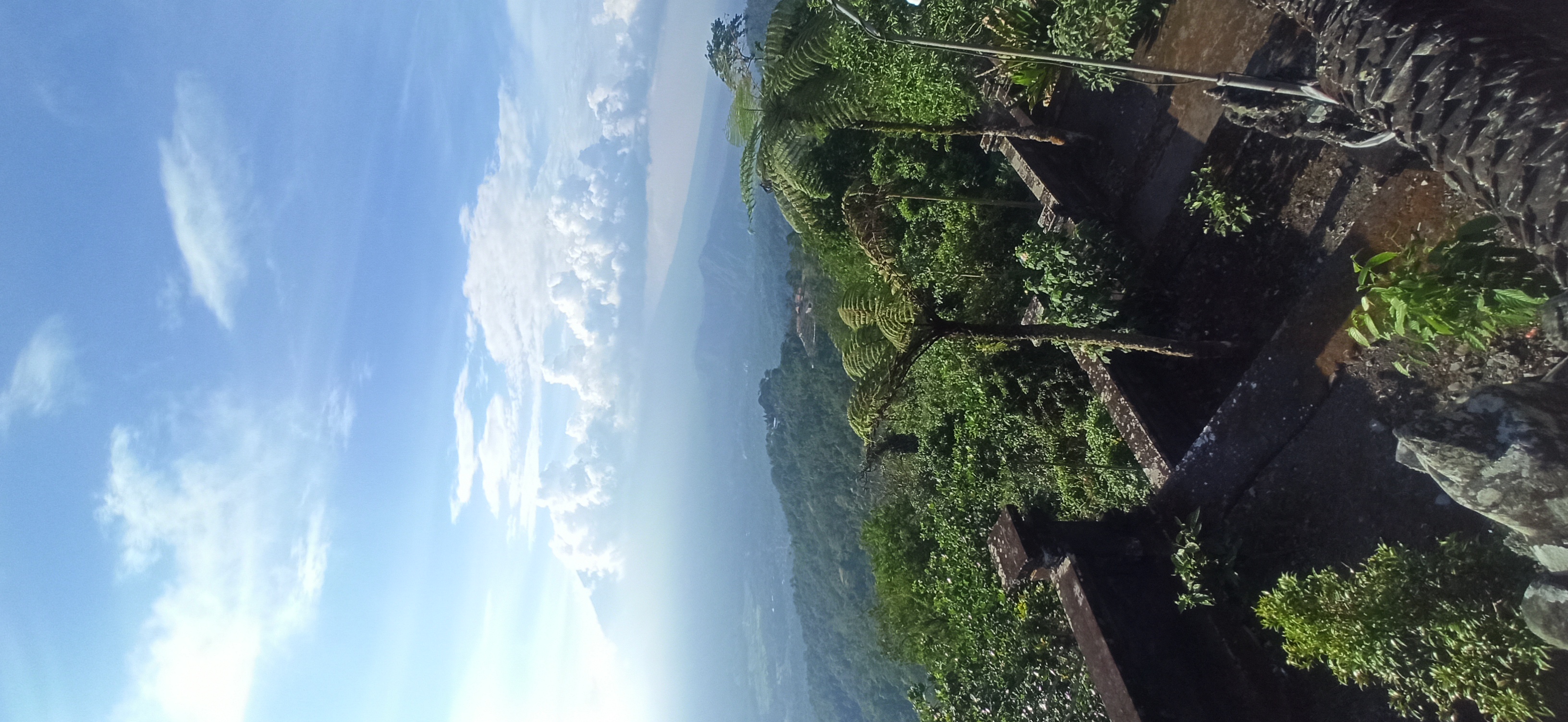 Чудеса Бали (8/49)