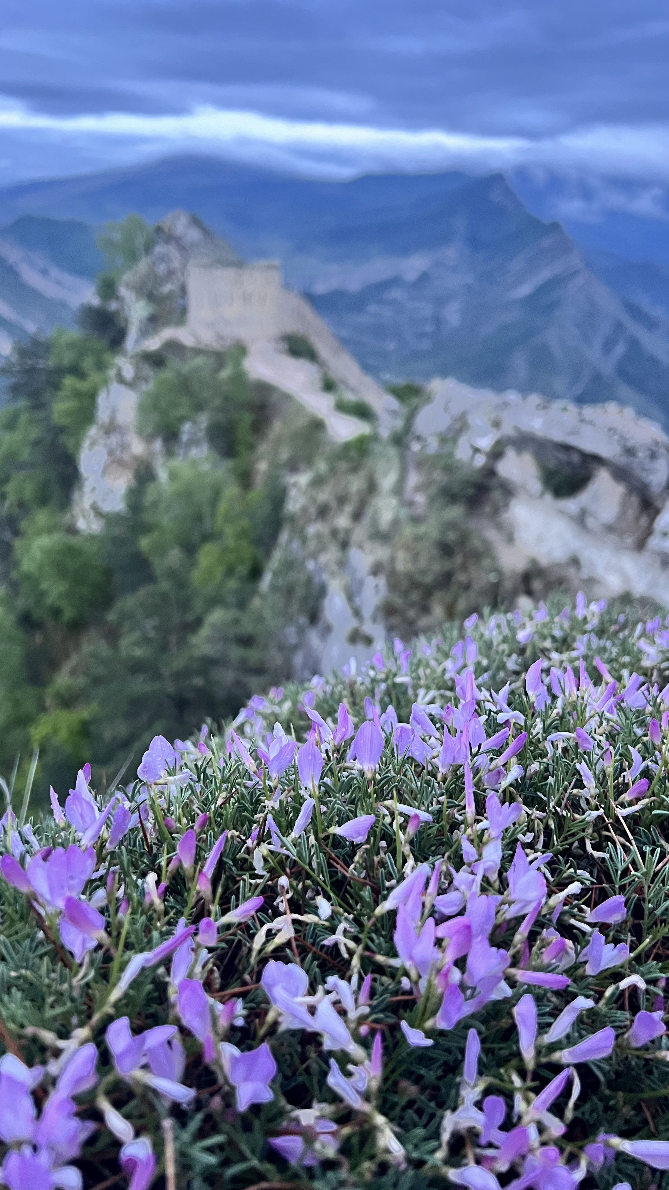 Дагестан-Дыхание гор. 4 дня приключений, всё включено! (26/61)