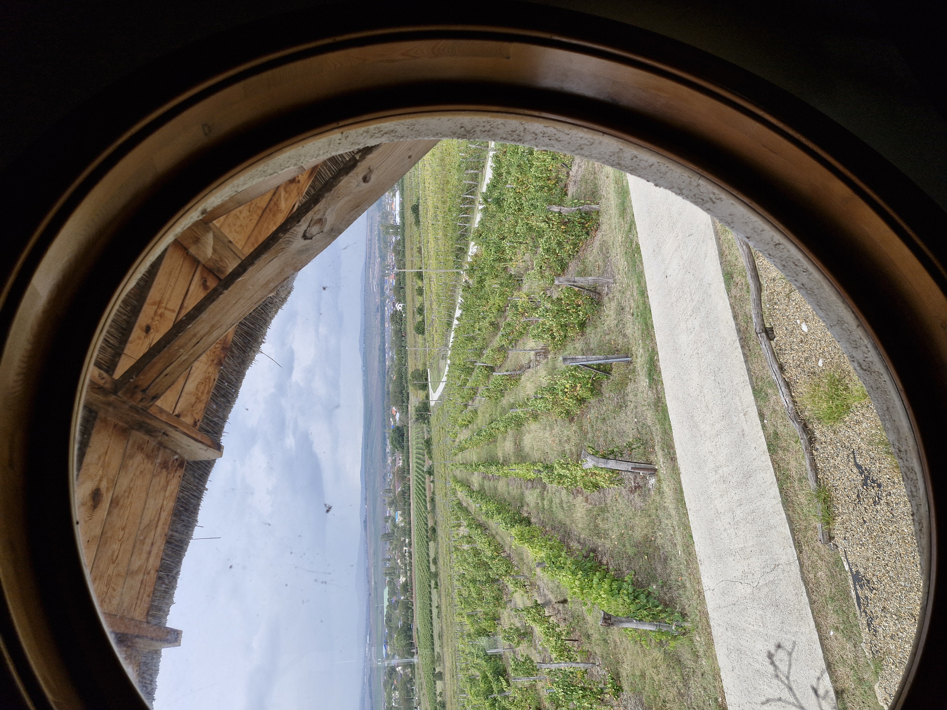 Анапа от моря до гор. Все лучшее за один день. (7/17)