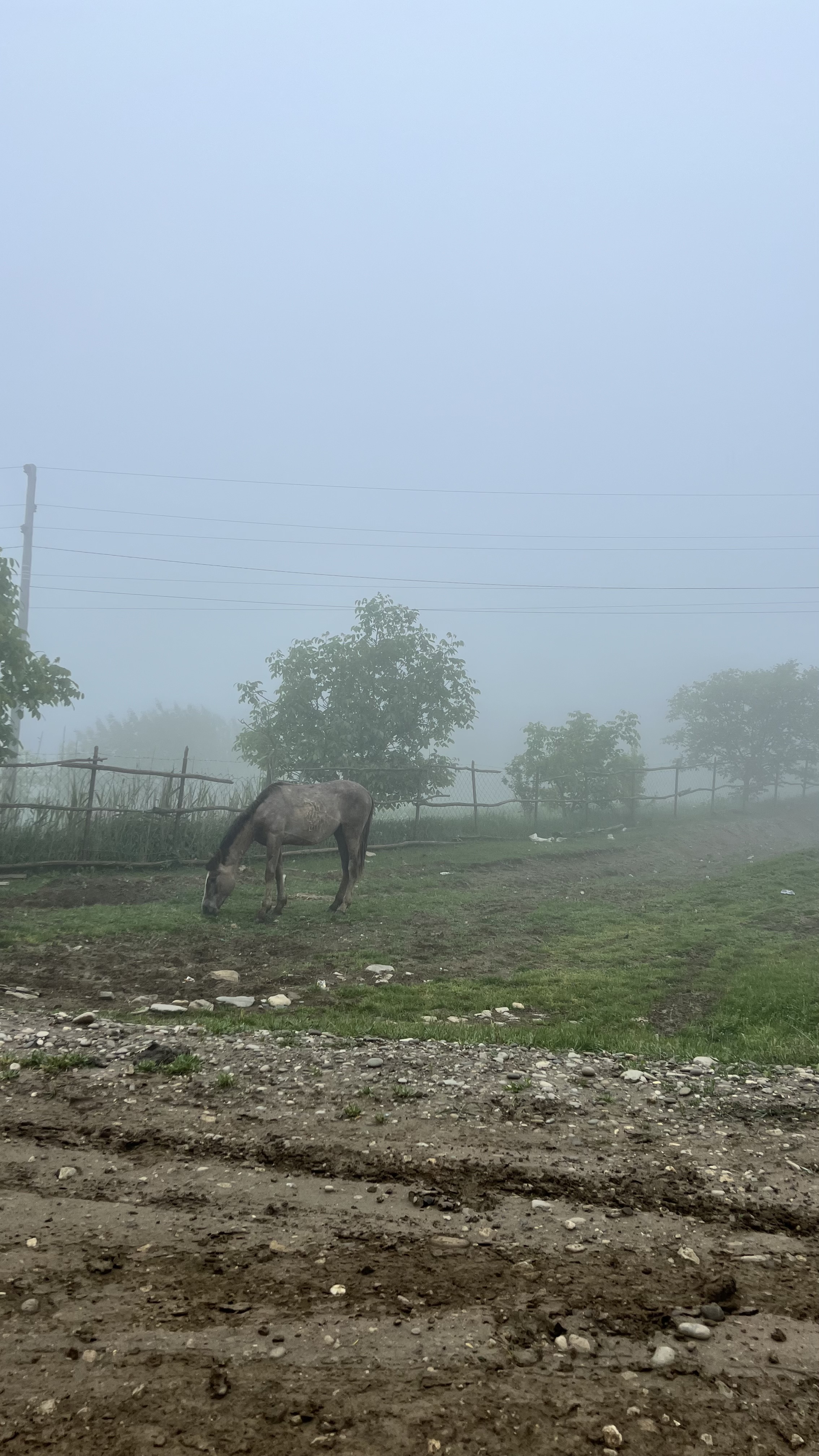 Дагестан-Дыхание гор. 4 дня приключений, всё включено! (21/61)