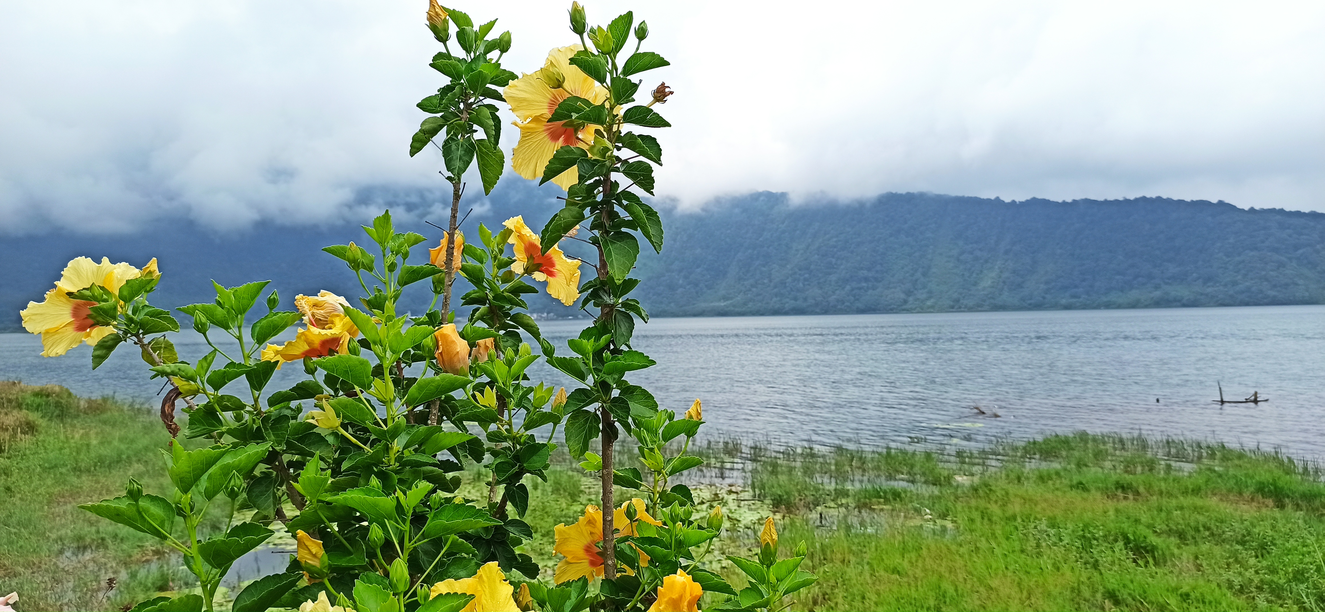 Чудеса Бали (6/49)