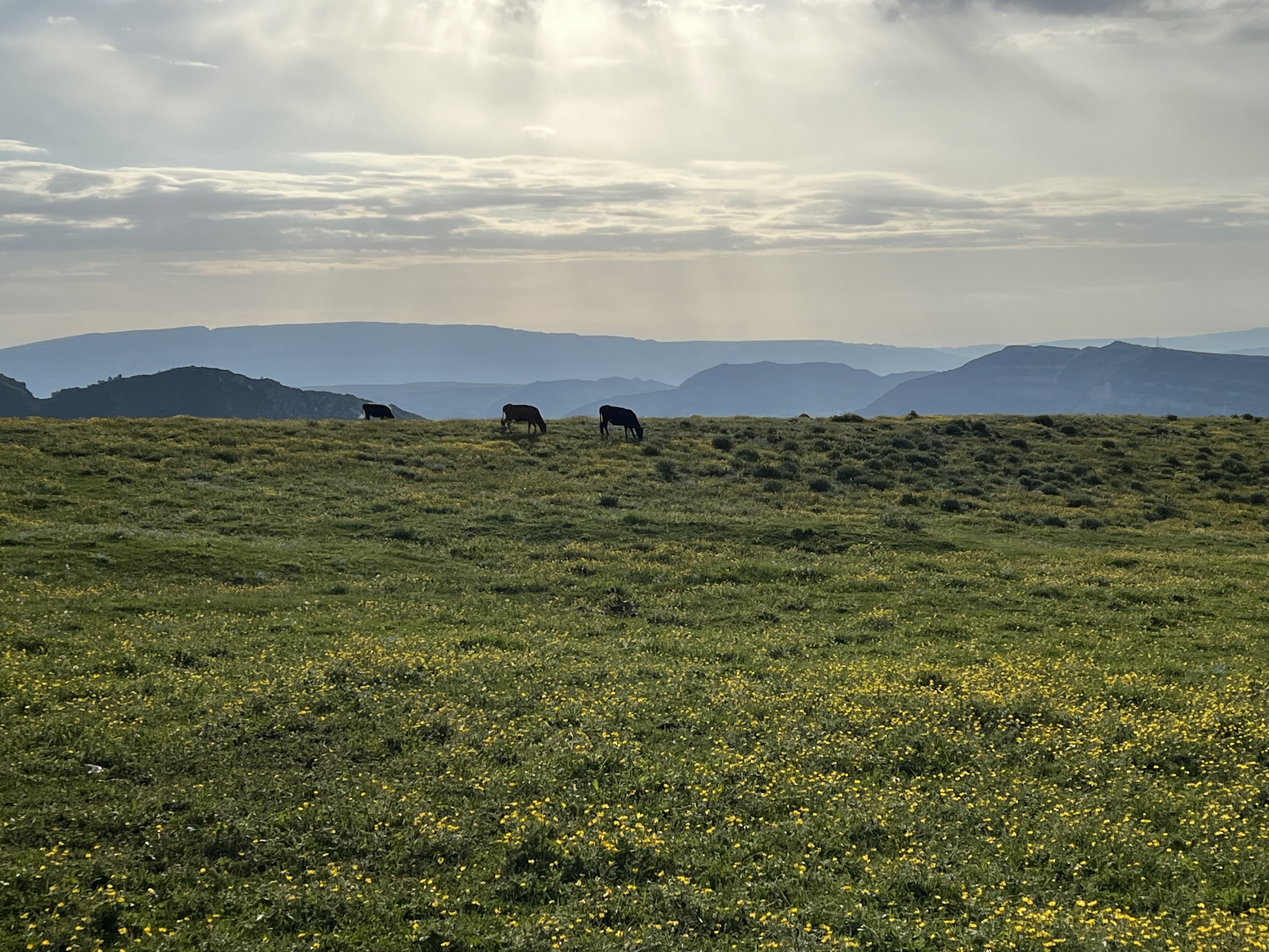 Дагестан-Дыхание гор. 4 дня приключений, всё включено! (34/61)