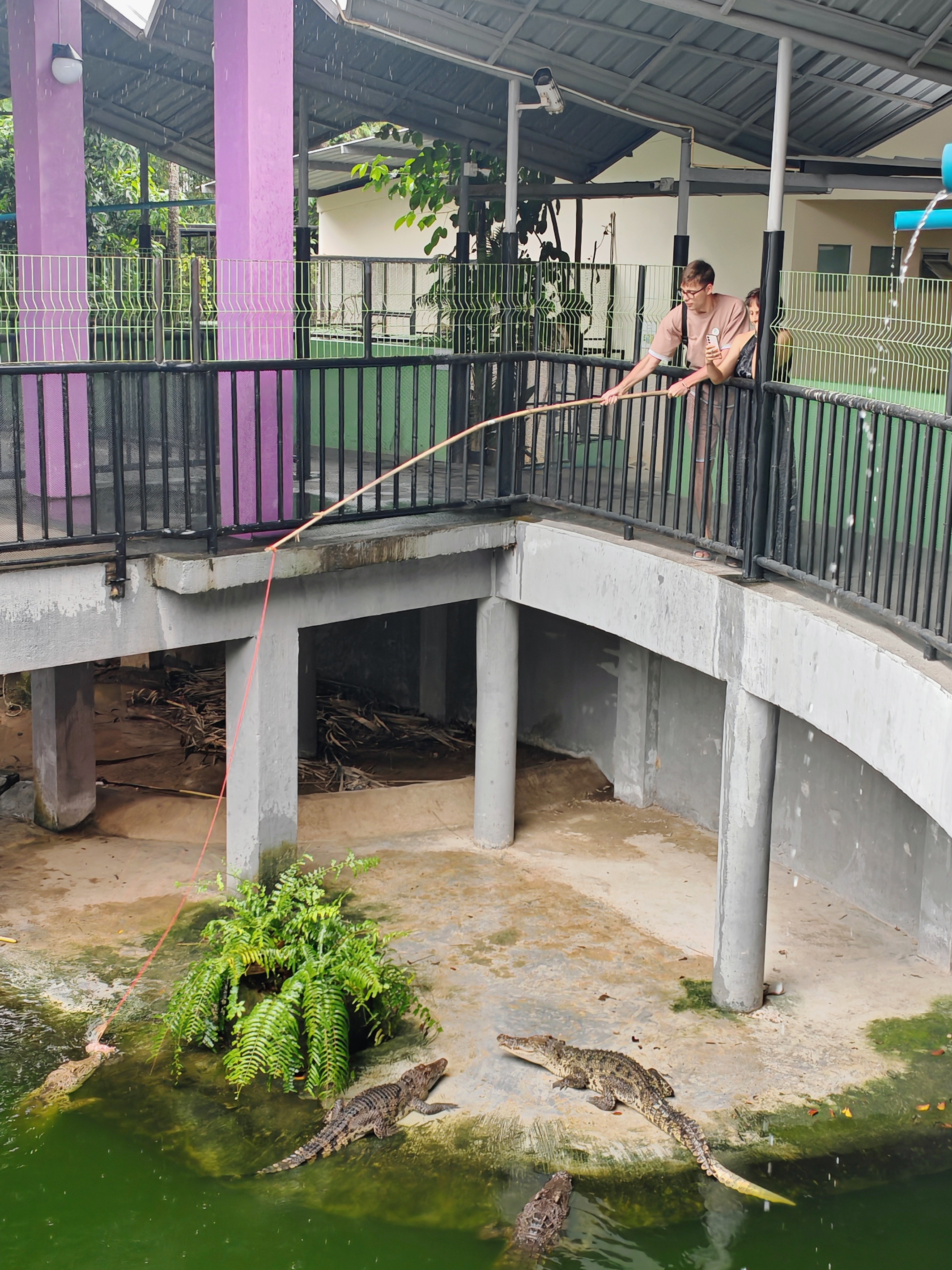 Авторский тур на остров Пхукет: Полное погружение (56/79)