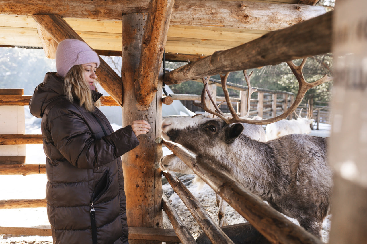 Слияние с природой: водопады, животные и баня