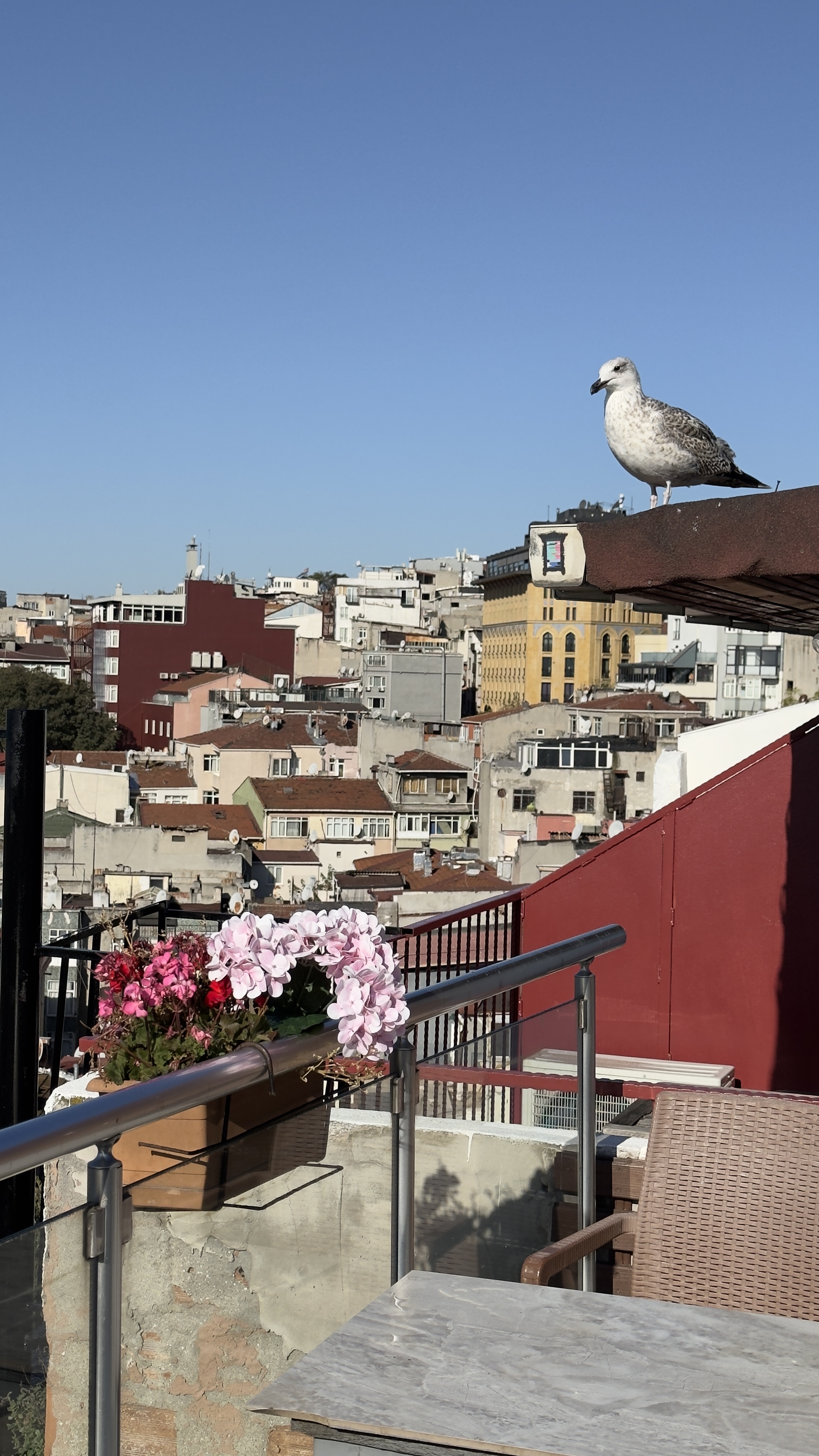 Атмосферный Девичник В Каппадокии! Сказка станет реальностью! Цена с перелетом! (41/41)