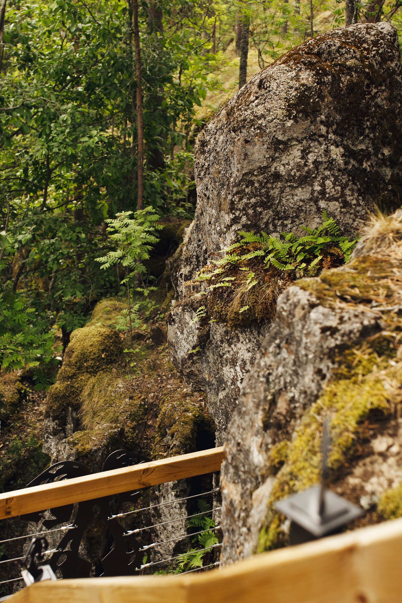 Сборный тур На 2 Дня В Карелию! (15/24)