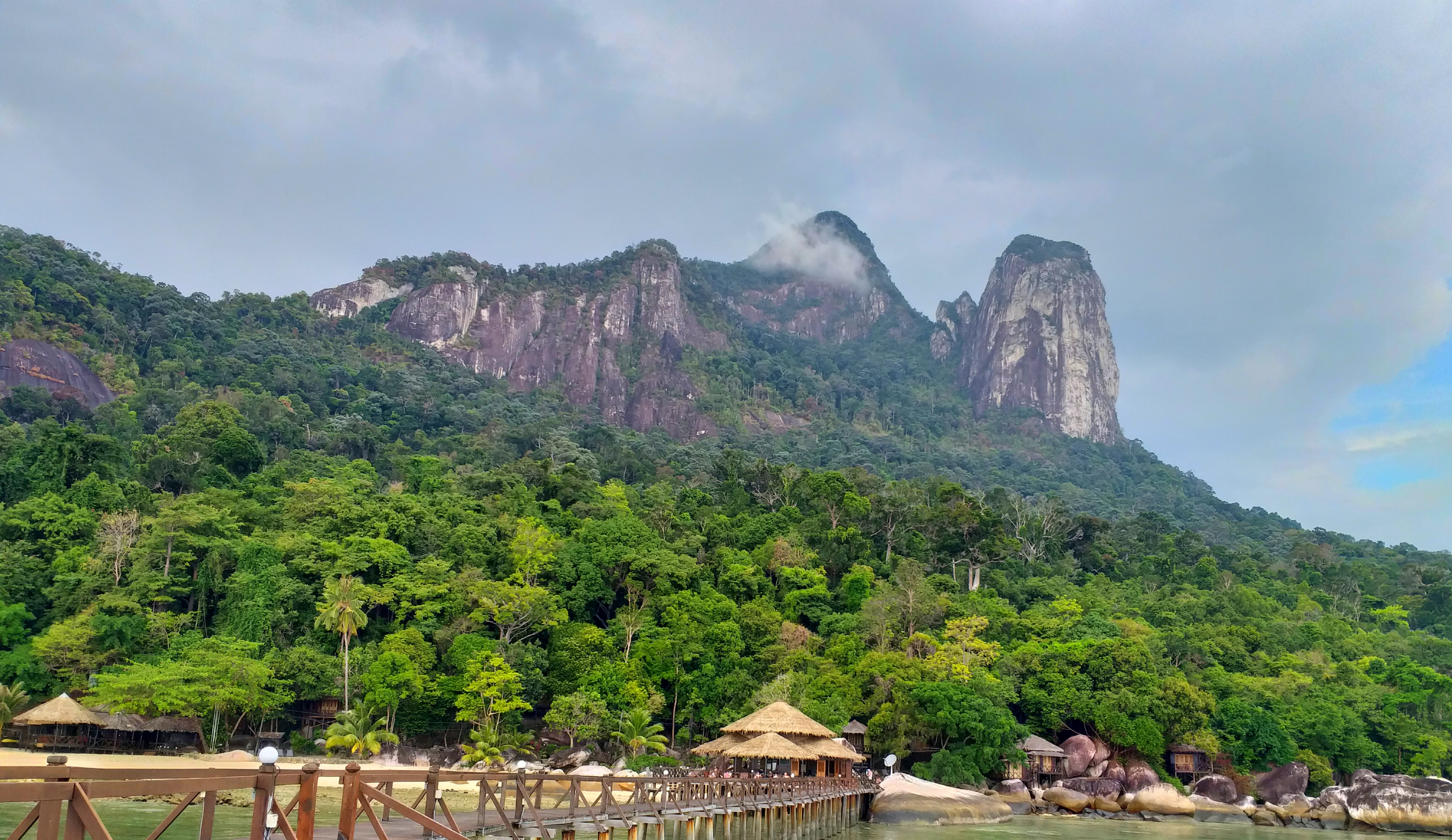 Трекинг В дебрях Малайзии (2/53)