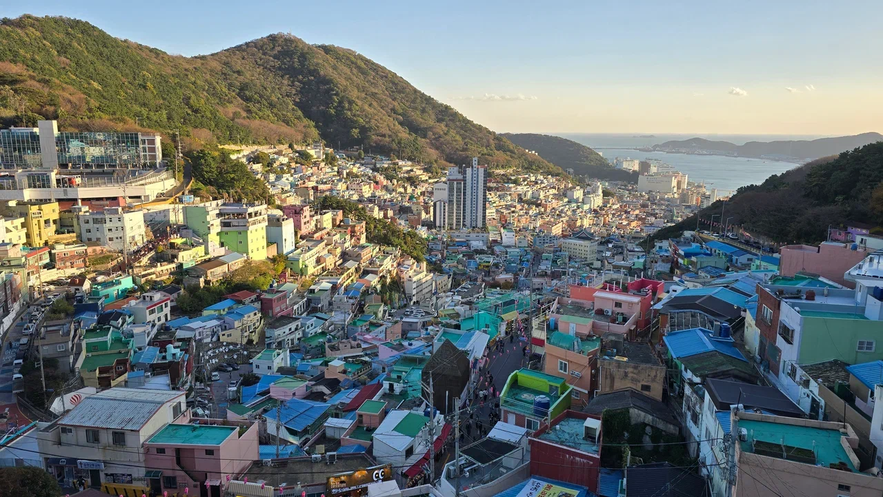 Южная Корея на майские. Путешествие во время цветения роз и азалий (14/33)