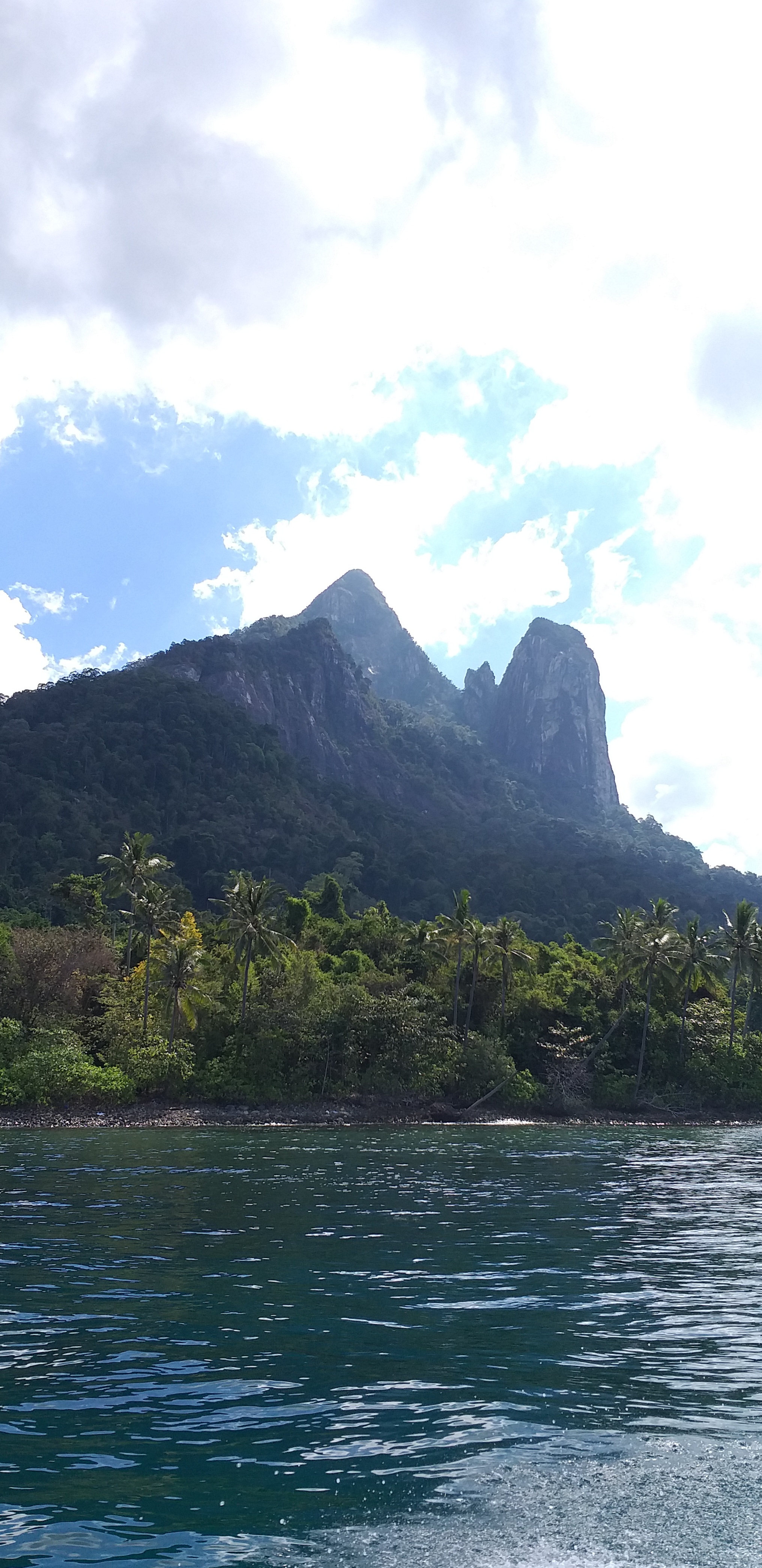 Трекинг В дебрях Малайзии (9/53)