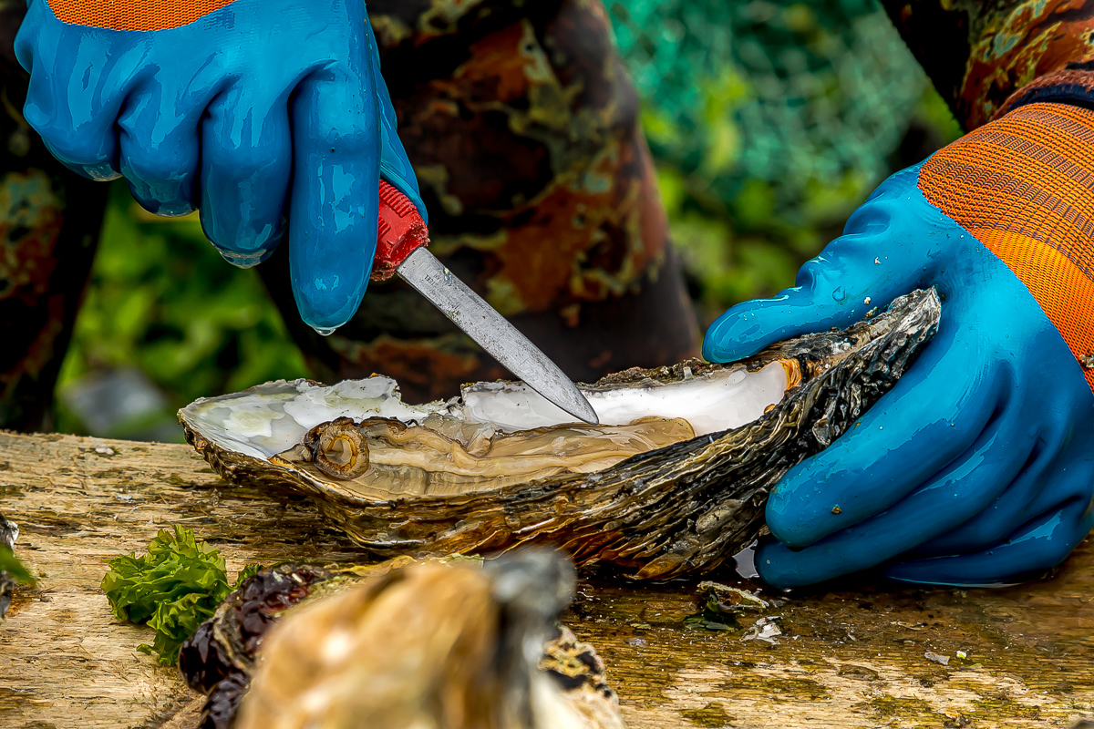 Перезагрузка на Итурупе. Путешествие на другую планету (50/171)