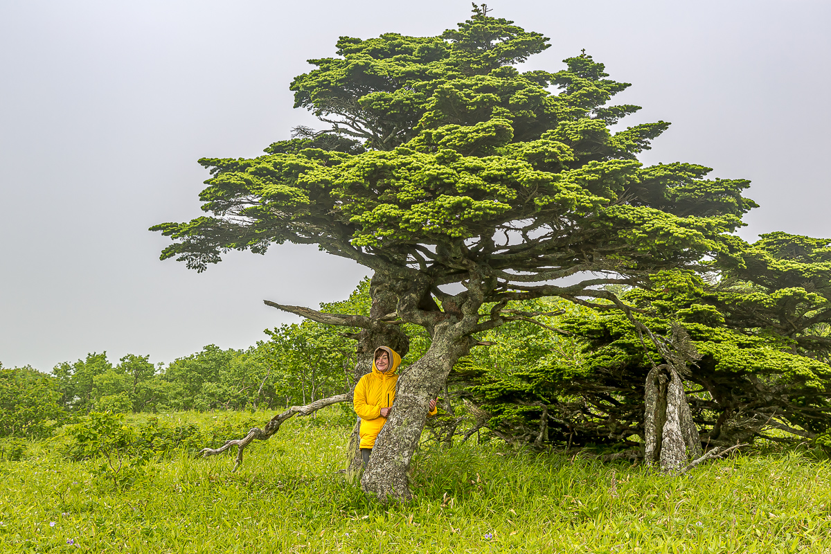 Весь Шикотан. Путешествие на другую планету (75/140)
