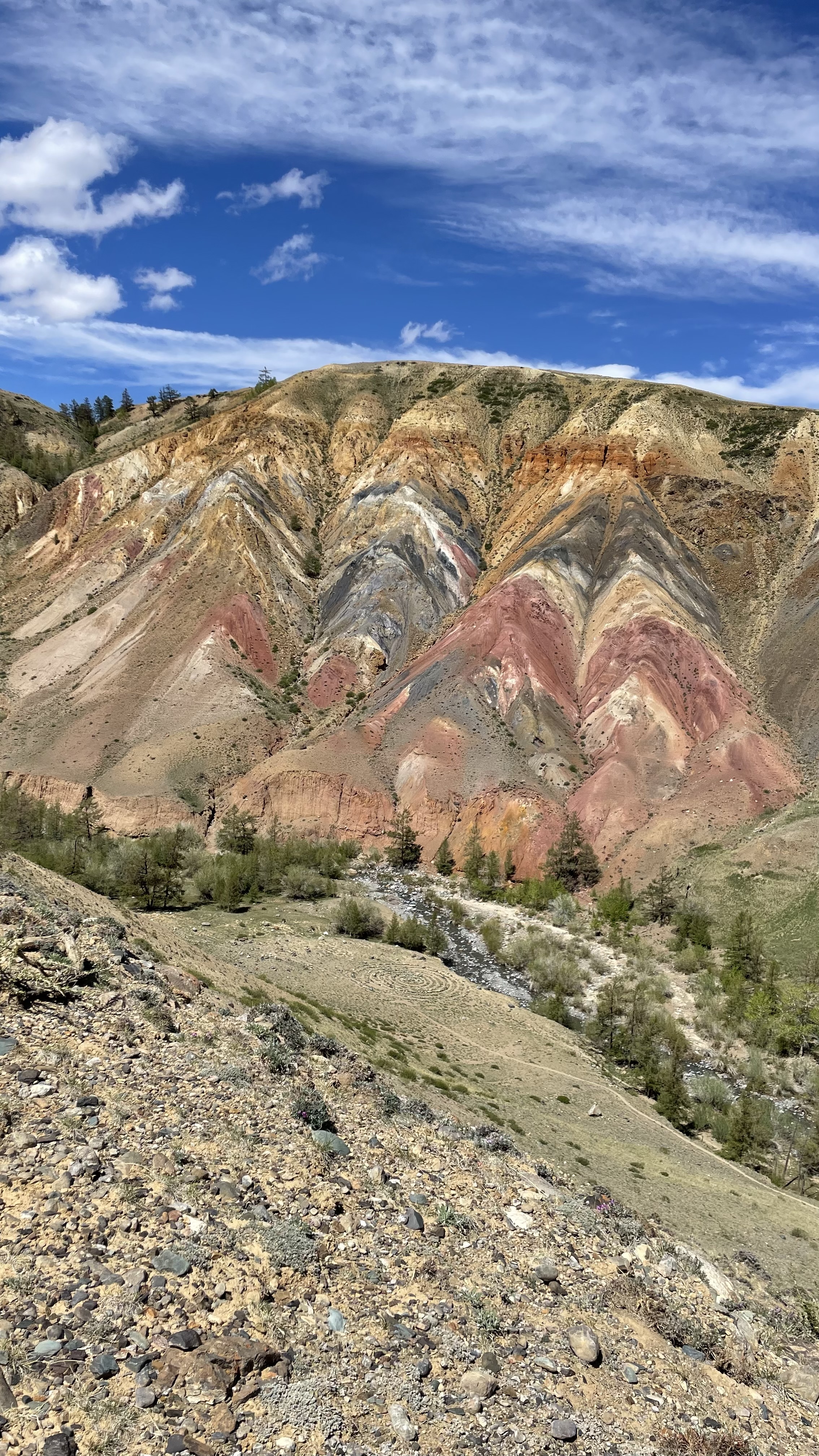 По следам алтая (37/42)