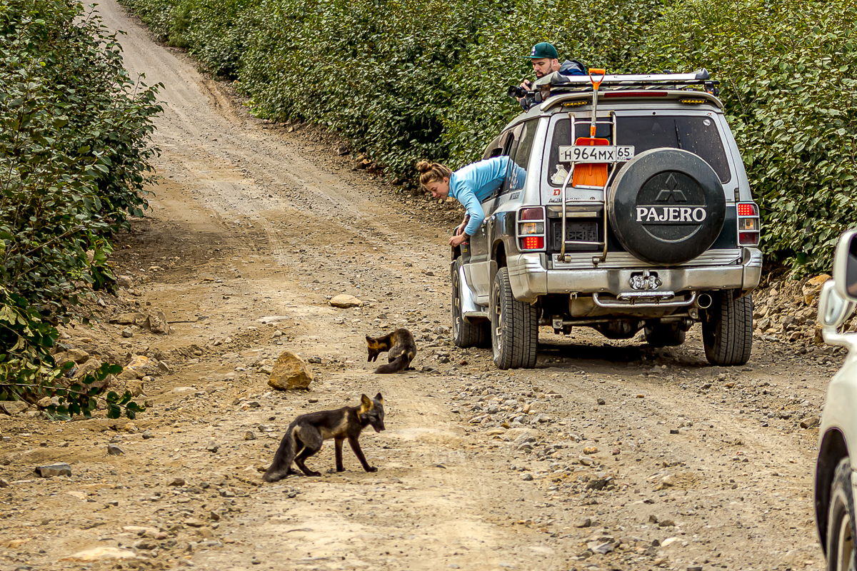 Перезагрузка на Итурупе. Путешествие на другую планету (87/171)