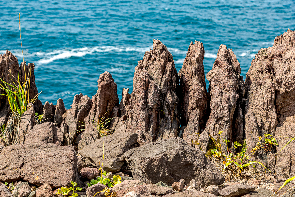 Перезагрузка на Итурупе. Путешествие на другую планету (119/171)
