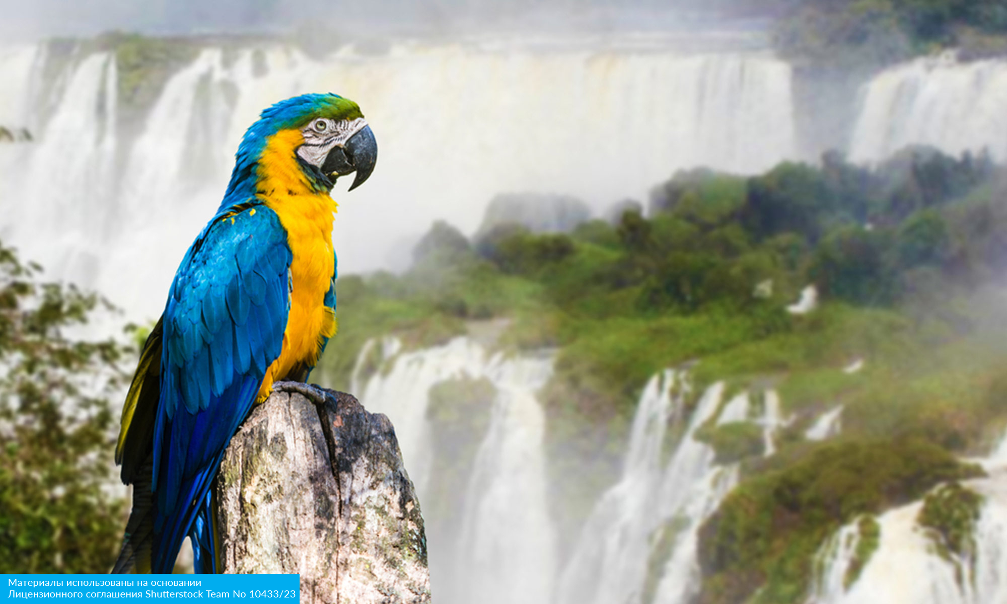 Карнавал в Бразилии 2026 (17/23)