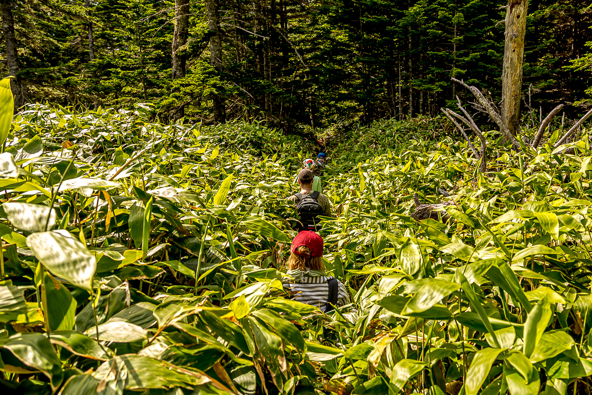 Сахалин, Итуруп, Шикотан и Кунашир с вулканом Тятя. Путешествие на другую планету (150/271)