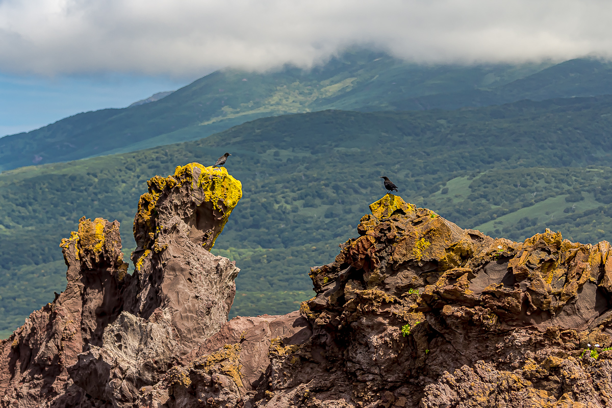 Перезагрузка на Итурупе. Путешествие на другую планету (101/171)