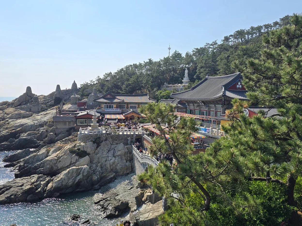 Южная Корея на майские. Путешествие во время цветения роз и азалий (15/33)