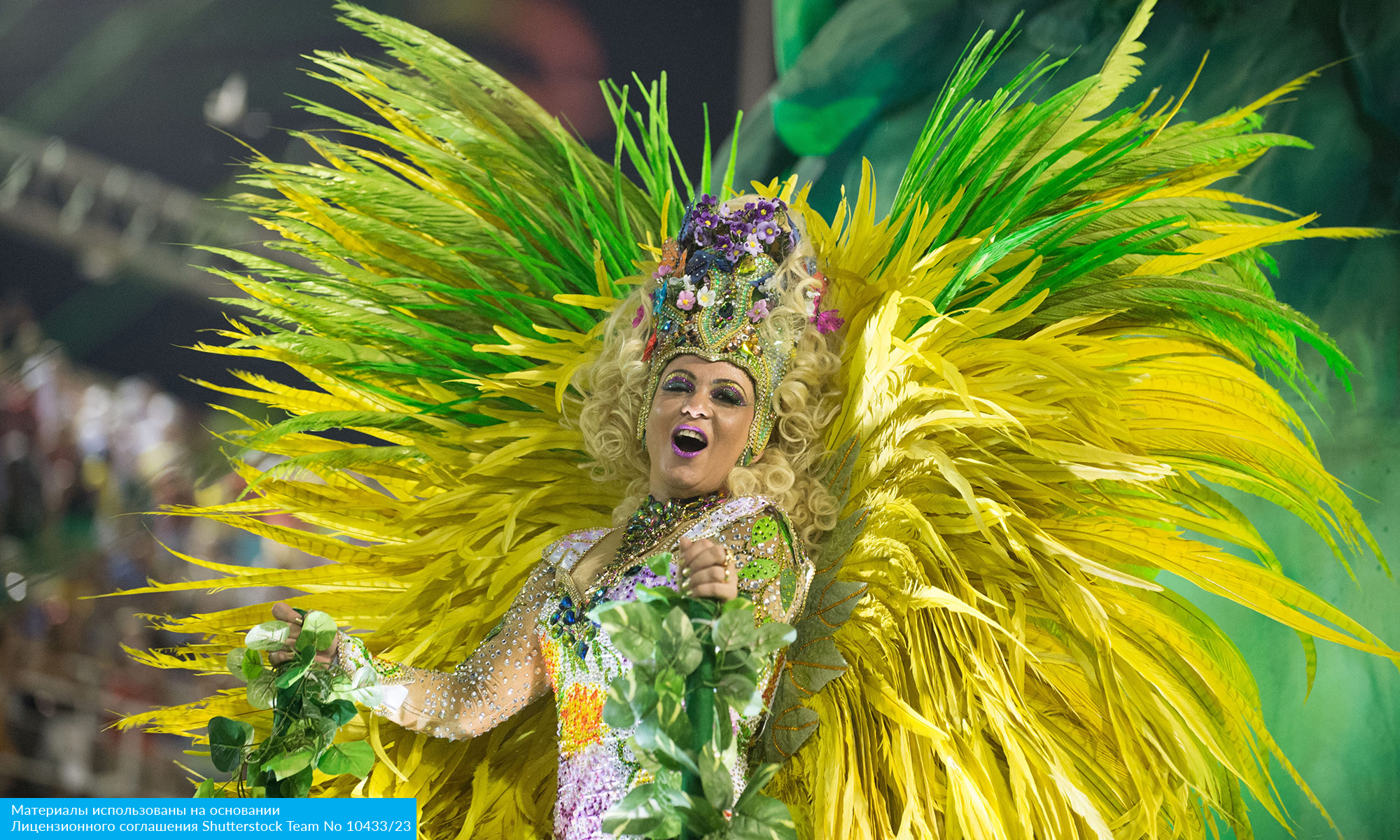 Карнавал в Бразилии 2026 (23/23)