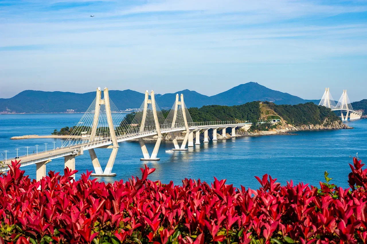 Южная Корея на майские. Путешествие во время цветения роз и азалий (23/33)