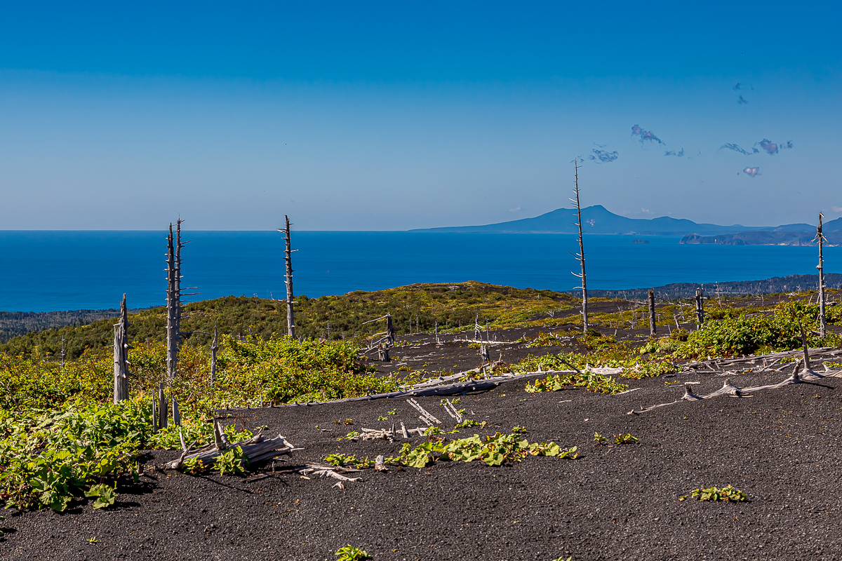 Сахалин, Итуруп, Шикотан и Кунашир с вулканом Тятя. Путешествие на другую планету (203/271)