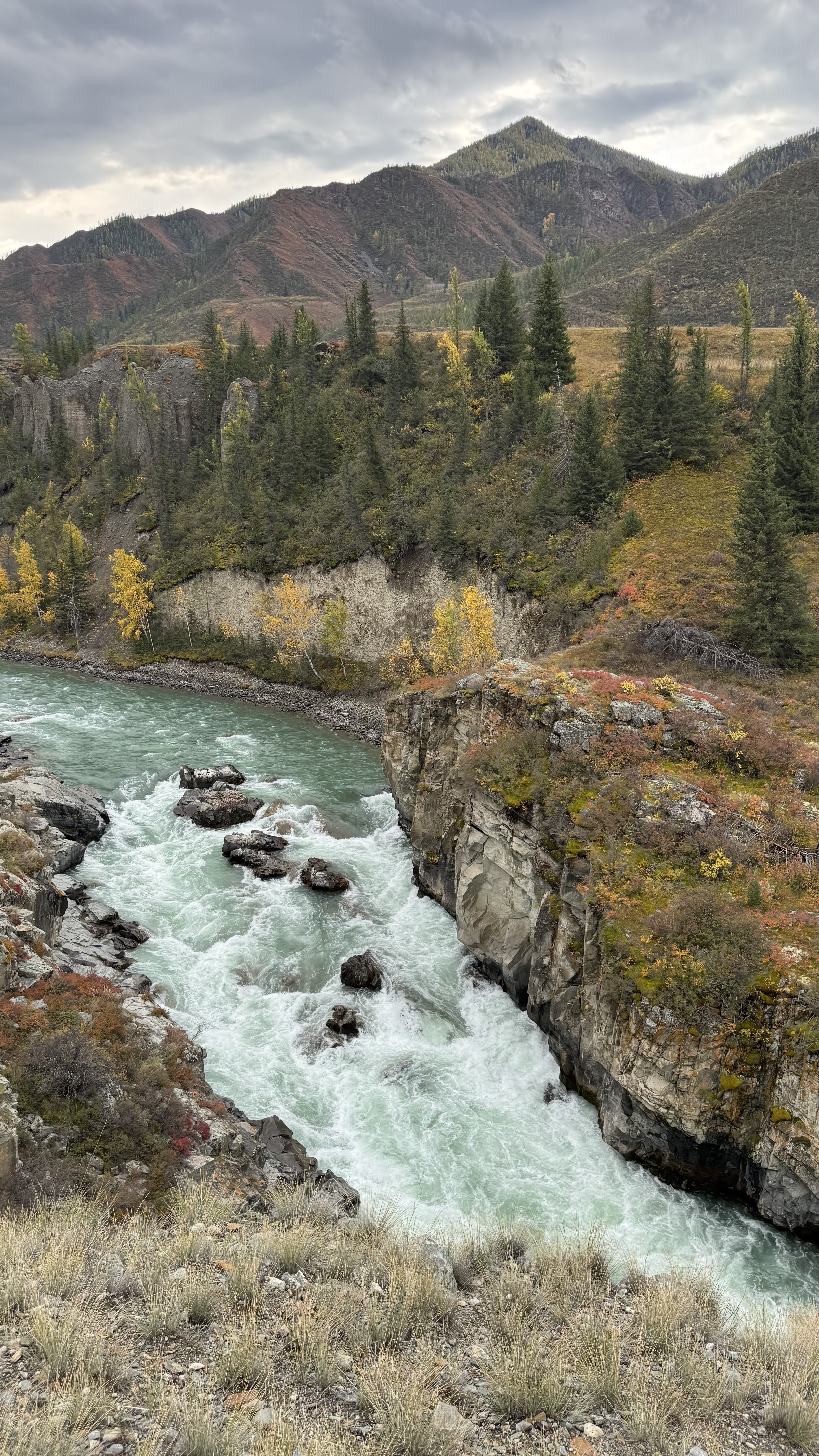 По следам алтая (38/42)