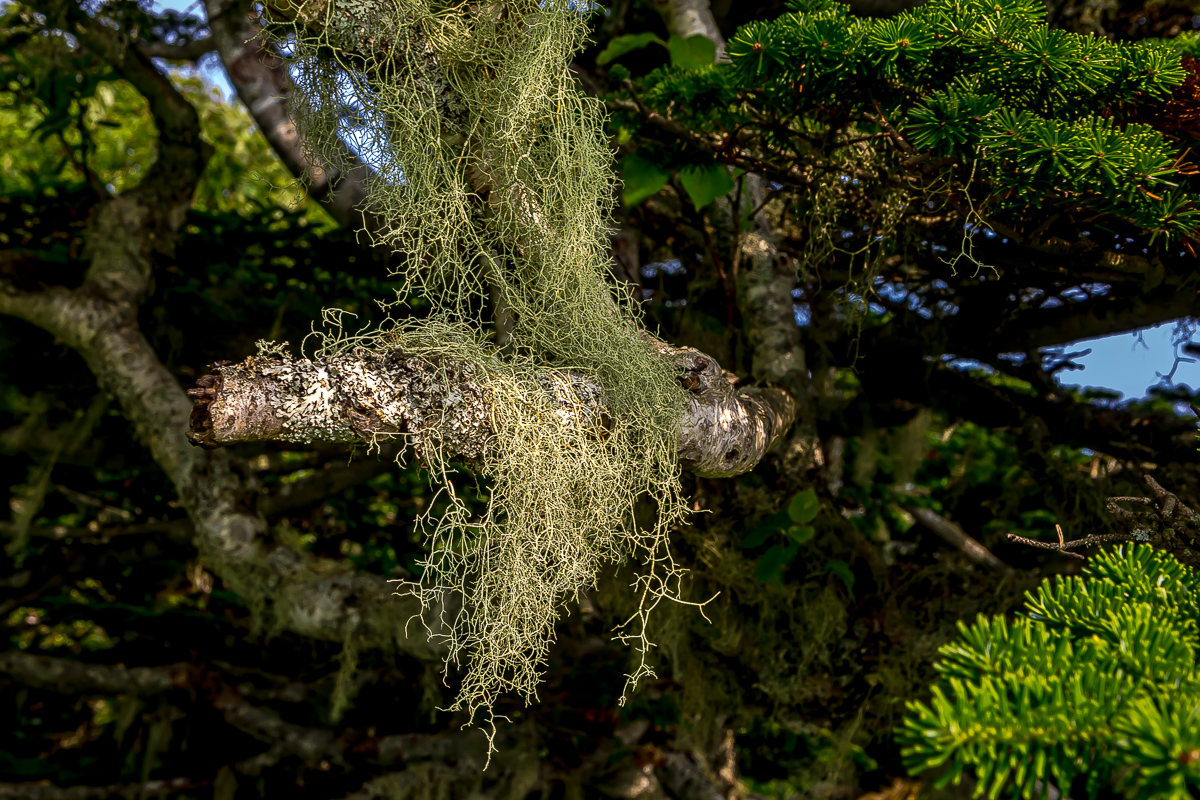 Сахалин, Итуруп, Шикотан и Кунашир с вулканом Тятя. Путешествие на другую планету (184/271)