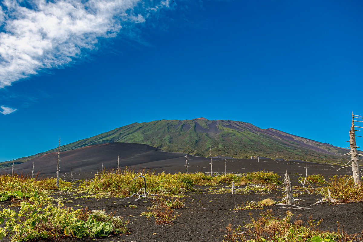 Сахалин, Итуруп, Шикотан и Кунашир с вулканом Тятя. Путешествие на другую планету (202/271)