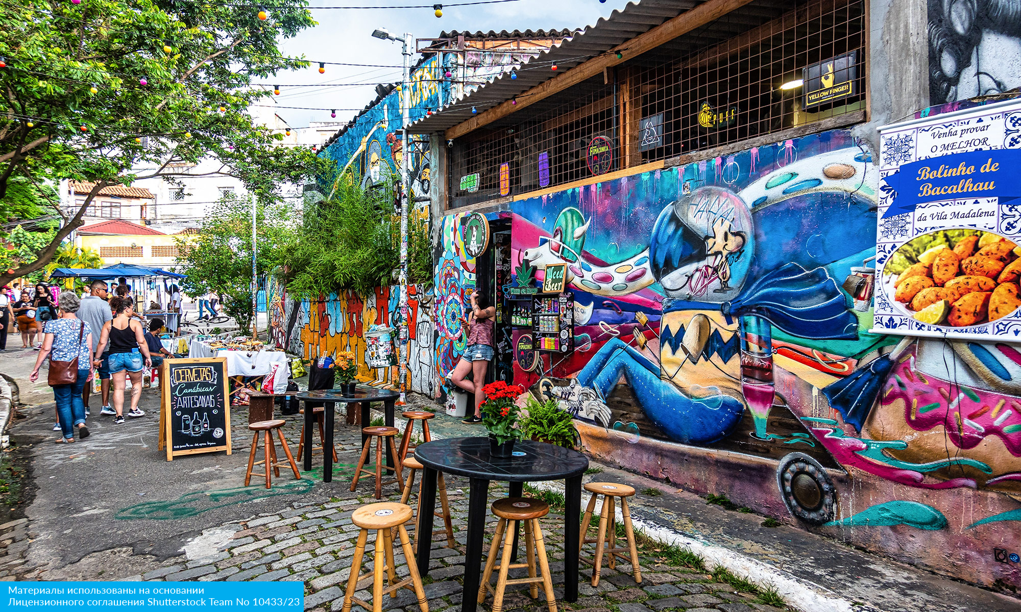 Карнавал в Бразилии 2026 (6/23)