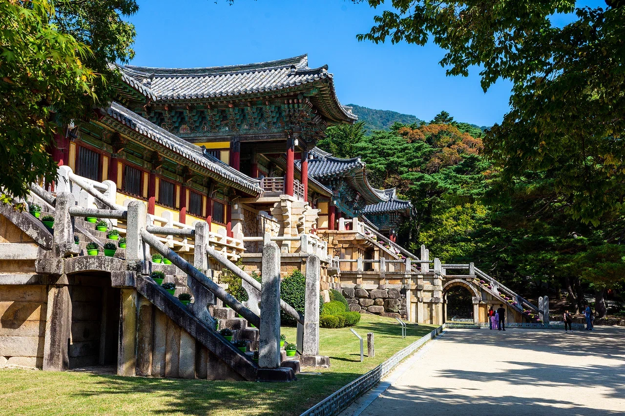 Южная Корея на майские. Путешествие во время цветения роз и азалий (17/33)