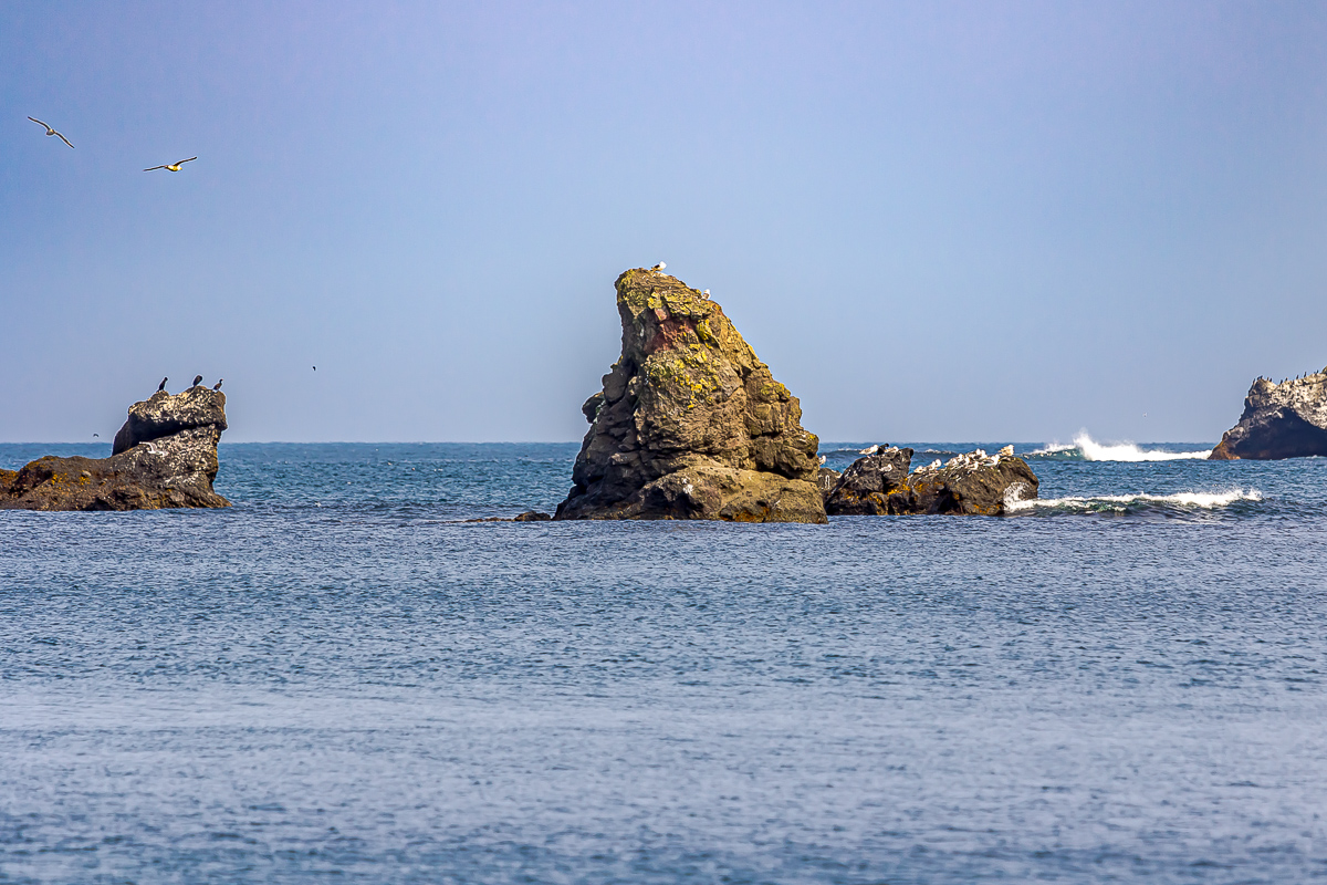 Весь Шикотан. Путешествие на другую планету (91/140)