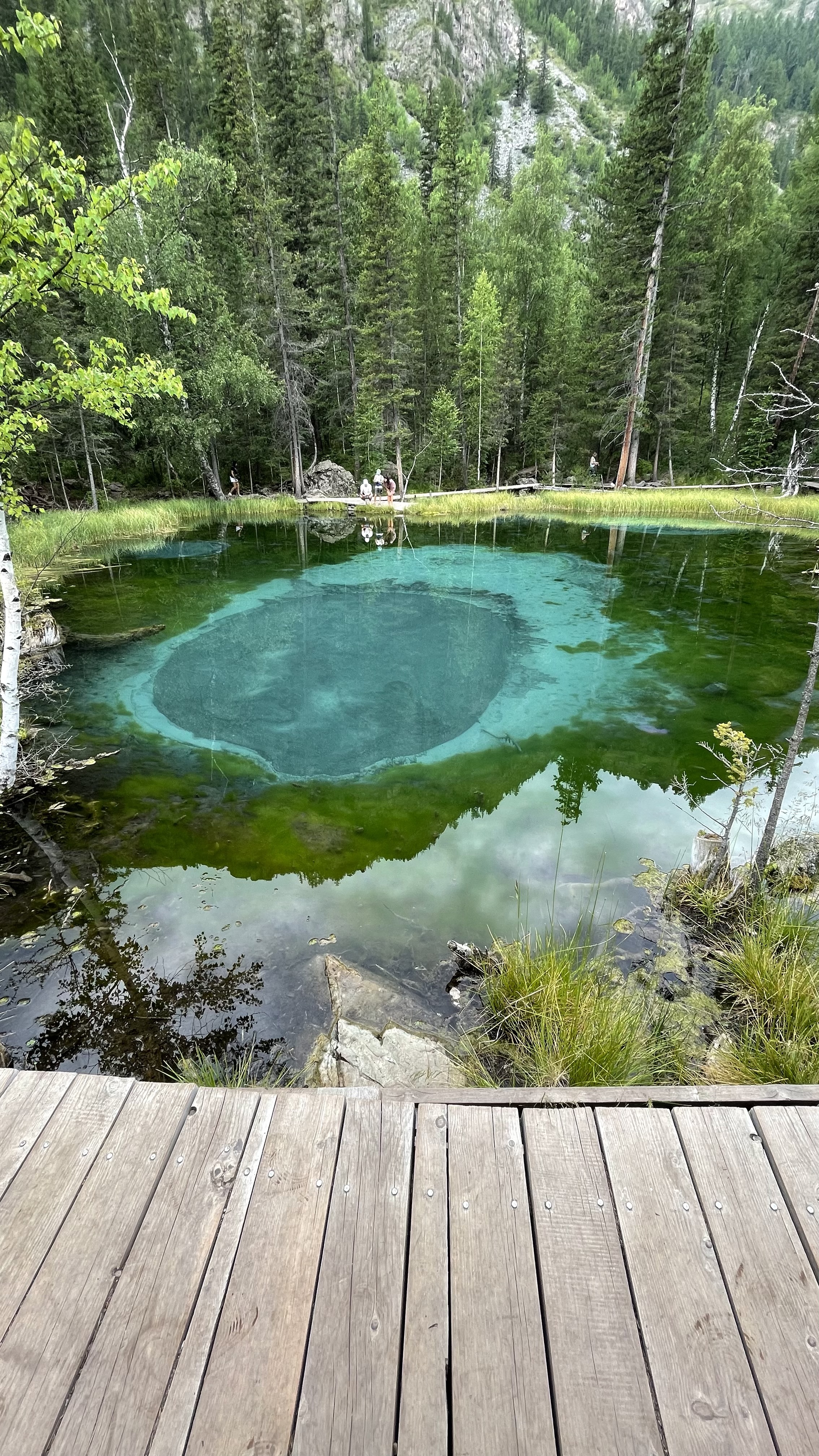 По следам алтая (36/42)