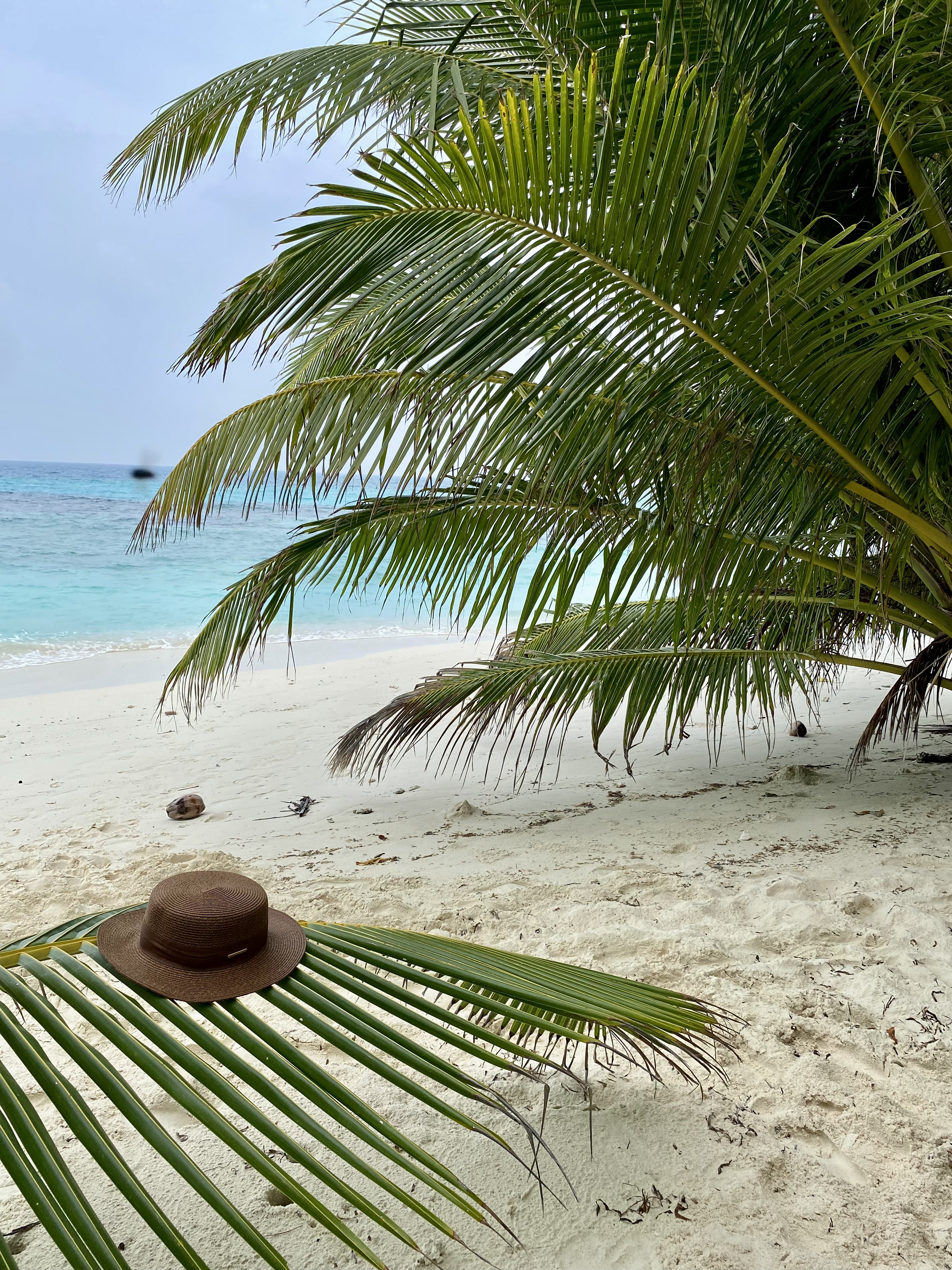 Мальдивы с психологом для обретения душевного равновесия (27/64)