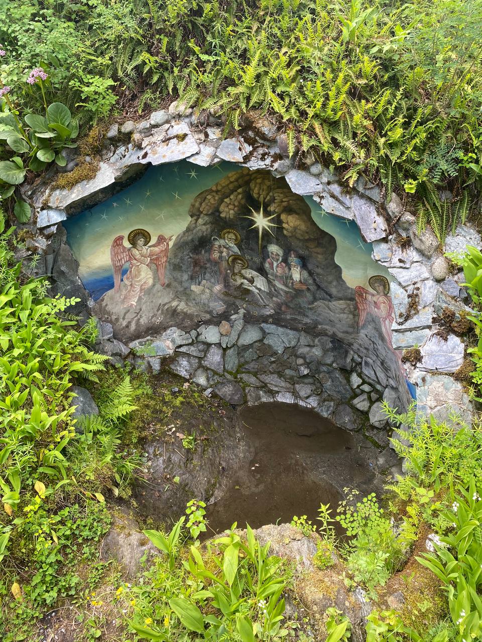 По следам алтая (29/42)