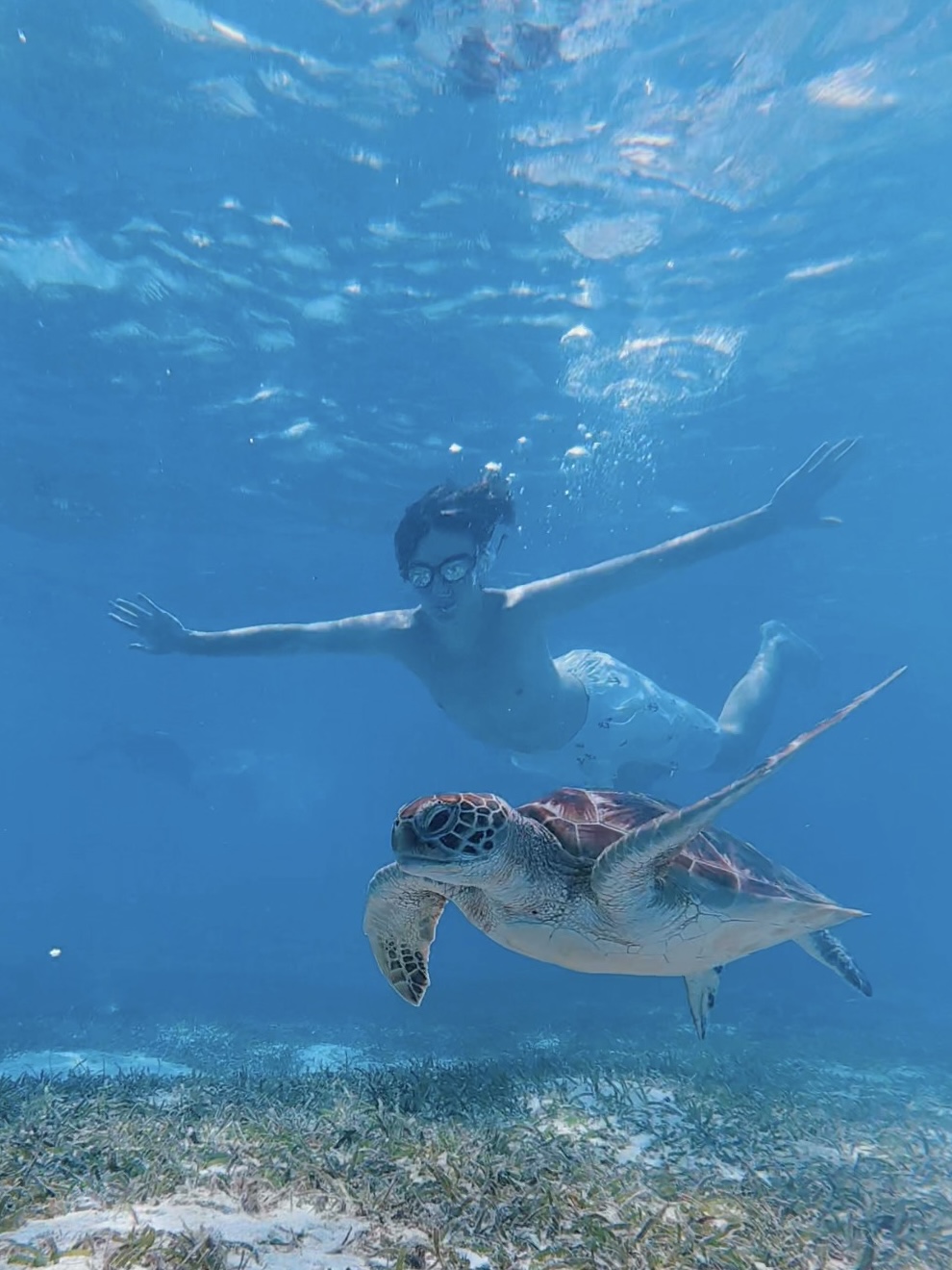 Райское наслаждение. Мальдивы (11/38)